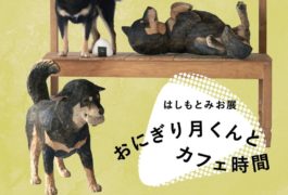 はしもとみお展  おにぎり月くんとカフェ時間