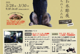 はしもとみお木彫展  ～いきものたちのうたたね～