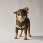 はしもとみお 木彫展  ～いきものたちとの旅～