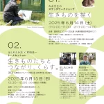 はしもとみお木彫展  みんなつながってるよ。