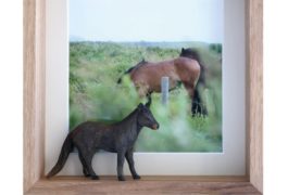 はしもとみお かくたみほ  2人展 “北へ”