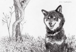 あしたやさしくなれますように  絵本出版記念展