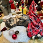 2025タカシマヤ  クリスマス