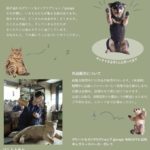 はしもとみお 彫刻展 ー森のおんがく会ー