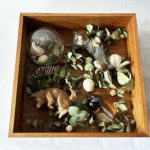 はしもとみお 金津沙矢香  「箱庭」